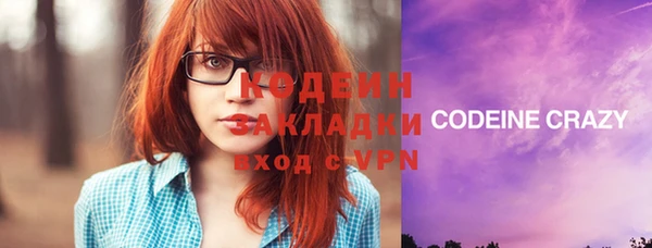 ECSTASY Алзамай