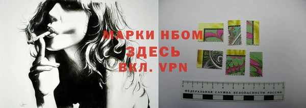 ECSTASY Алзамай