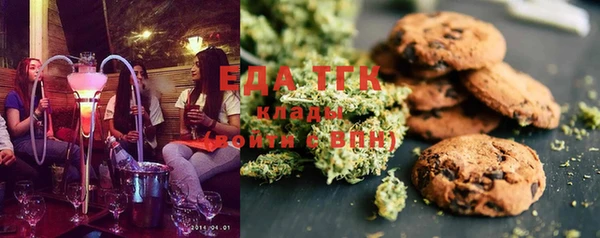 ECSTASY Алзамай