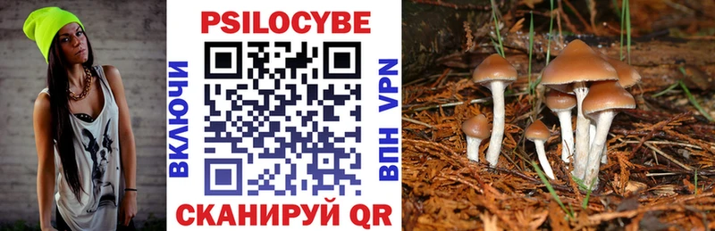 Галлюциногенные грибы прущие грибы  Канаш 